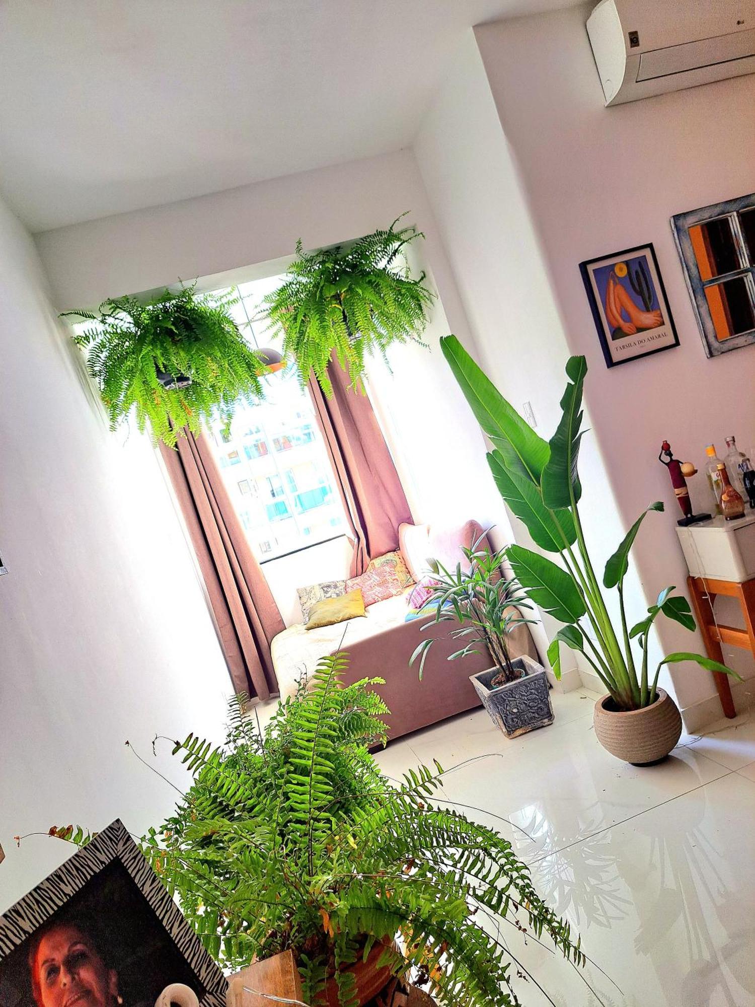 Quarto Com Anfitriao Rj Ρίο ντε Τζανέιρο Εξωτερικό φωτογραφία